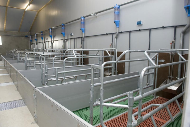 Stalinrichting voor varkens