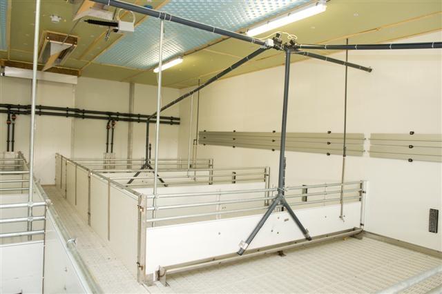 Inrichting biggenstal